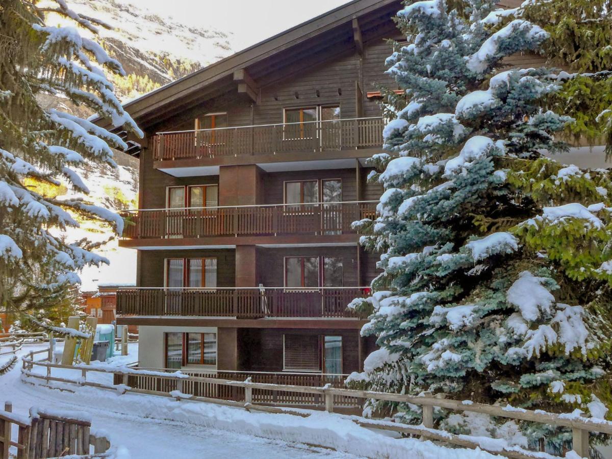 Sungold-2 By Interhome Apartment